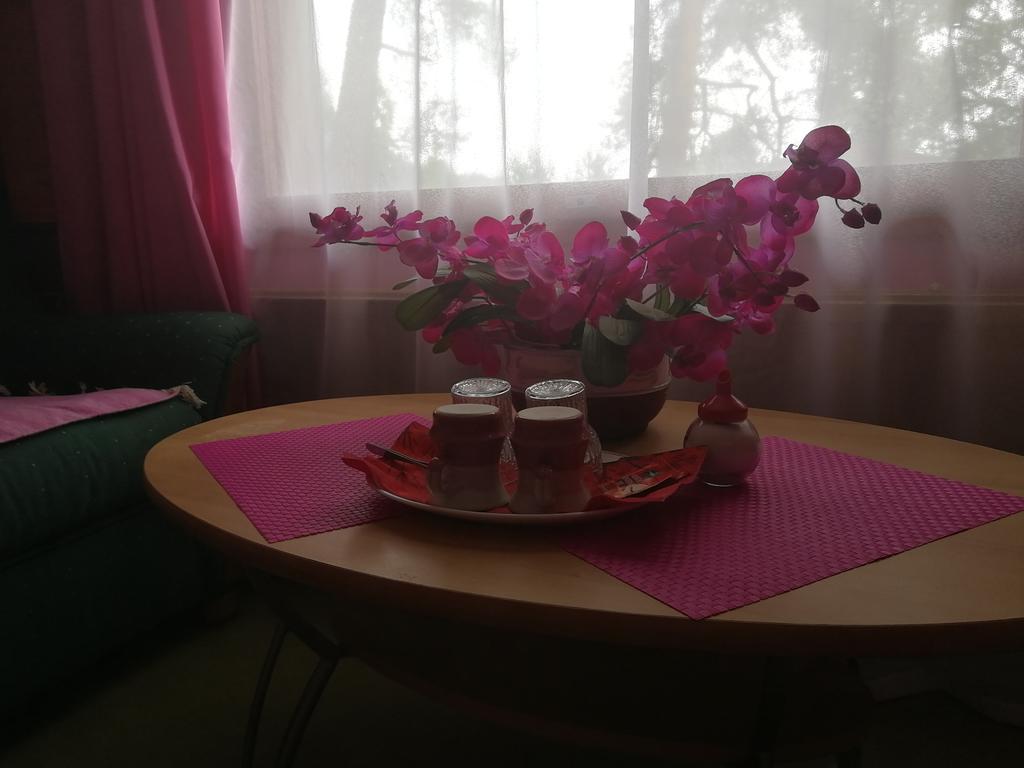 Hotel Villa Vanessa Siltakylä Dış mekan fotoğraf